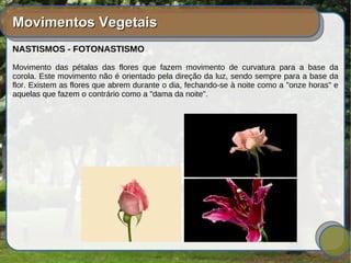 Movimentos VegetaisMovimentos Vegetais
NASTISMOS - FOTONASTISMO
Movimento das pétalas das flores que fazem movimento de curvatura para a base da
corola. Este movimento não é orientado pela direção da luz, sendo sempre para a base da
flor. Existem as flores que abrem durante o dia, fechando-se à noite como a "onze horas" e
aquelas que fazem o contrário como a "dama da noite".
 