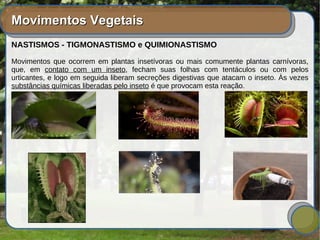 Movimentos VegetaisMovimentos Vegetais
NASTISMOS - TIGMONASTISMO e QUIMIONASTISMO
Movimentos que ocorrem em plantas insetívoras ou mais comumente plantas carnívoras,
que, em contato com um inseto, fecham suas folhas com tentáculos ou com pelos
urticantes, e logo em seguida liberam secreções digestivas que atacam o inseto. Às vezes
substâncias químicas liberadas pelo inseto é que provocam esta reação.
 