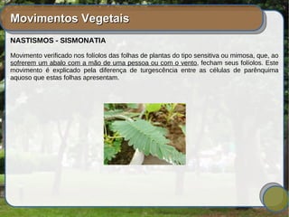 Movimentos VegetaisMovimentos Vegetais
NASTISMOS - SISMONATIA
Movimento verificado nos folíolos das folhas de plantas do tipo sensitiva ou mimosa, que, ao
sofrerem um abalo com a mão de uma pessoa ou com o vento, fecham seus folíolos. Este
movimento é explicado pela diferença de turgescência entre as células de parênquima
aquoso que estas folhas apresentam.
 