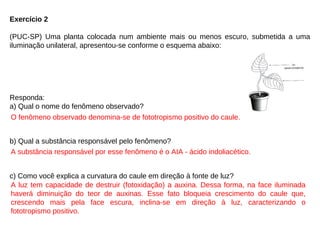 Exercício 2
(PUC-SP) Uma planta colocada num ambiente mais ou menos escuro, submetida a uma
iluminação unilateral, apresentou-se conforme o esquema abaixo:
Responda:
a) Qual o nome do fenômeno observado?
b) Qual a substância responsável pelo fenômeno?
c) Como você explica a curvatura do caule em direção à fonte de luz?
O fenômeno observado denomina-se de fototropismo positivo do caule.
A substância responsável por esse fenômeno é o AIA - ácido indoliacético.
A luz tem capacidade de destruir (fotoxidação) a auxina. Dessa forma, na face iluminada
haverá diminuição do teor de auxinas. Esse fato bloqueia crescimento do caule que,
crescendo mais pela face escura, inclina-se em direção à luz, caracterizando o
fototropismo positivo.
 