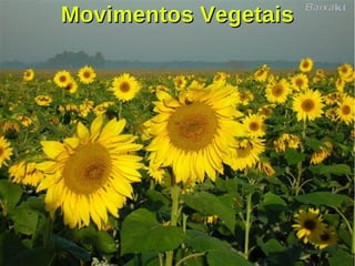 Movimentos VegetaisMovimentos Vegetais
 
