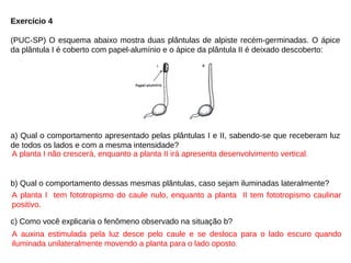 Exercício 4
(PUC-SP) O esquema abaixo mostra duas plântulas de alpiste recém-germinadas. O ápice
da plântula I é coberto com papel-alumínio e o ápice da plântula II é deixado descoberto:
a) Qual o comportamento apresentado pelas plântulas I e II, sabendo-se que receberam luz
de todos os lados e com a mesma intensidade?
b) Qual o comportamento dessas mesmas plântulas, caso sejam iluminadas lateralmente?
c) Como você explicaria o fenômeno observado na situação b?
A planta I não crescerá, enquanto a planta II irá apresenta desenvolvimento vertical.
A planta I tem fototropismo do caule nulo, enquanto a planta II tem fototropismo caulinar
positivo.
A auxina estimulada pela luz desce pelo caule e se desloca para o lado escuro quando
iluminada unilateralmente movendo a planta para o lado oposto.
 
