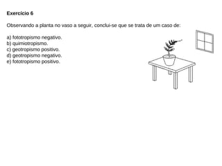 Exercício 6
Observando a planta no vaso a seguir, conclui-se que se trata de um caso de:
a) fototropismo negativo.
b) quimiotropismo.
c) geotropismo positivo.
d) geotropismo negativo.
e) fototropismo positivo.
 
