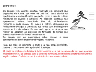 Exercício 14
Os bonsais (em japonês significa "cultivado em bandeja") são
originários da China, por volta de 202 a.C. Essa técnica foi
aperfeiçoada e muito difundida no Japão, como a arte de cultivar
miniaturas de árvores e arbustos. As espécies utilizadas não
apresentam nanismo hereditário. Elas são miniaturizadas
mediante a poda regular de raízes e galhos, diminuição do
fornecimento de água e orientação dos ramos com a utilização de
arames e fios de cobres. De um modo geral, as árvores que
melhor se adaptam ao processo de formação de bonsai são
aquelas resistentes às baixas temperaturas.
De acordo com as informações sobre bonsais e seus
conhecimentos sobre crescimento vegetal, responda:
Para que lado se inclinarão o caule e a raiz, respectivamente,
durante o crescimento dessa plântula? Justifique.
O caule se inclina em direção à fonte luminosa e a raiz se afasta da luz, pois o ácido
indolacético (AIA) se desloca para o lado não iluminado, estimulando a distensão celular na
região caulinar. O efeito na raiz é a inibição do crescimento celular.
 