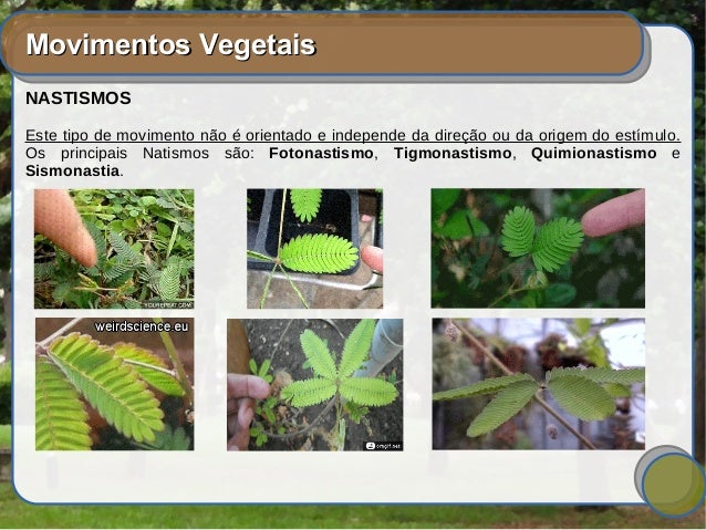 Movimentos vegetal