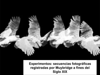 Experimentos: secuencias fotográficas registradas por Muybridge a fines del Siglo XIX 