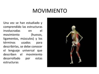 MOVIMIENTO
Una vez se han estudiado y
comprendido las estructuras
involucradas en el
movimiento (huesos,
ligamentos, músculos) y los
términos usados para
describirlas, se debe conocer
el lenguaje universal que
describen el movimiento
desarrollado por estas
estructuras
 