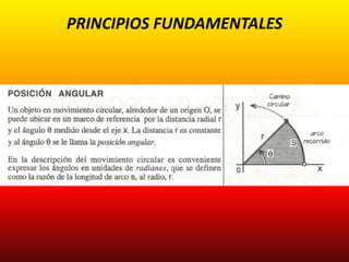 PRINCIPIOS FUNDAMENTALES
 