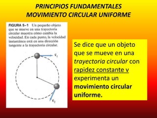 PRINCIPIOS FUNDAMENTALES
MOVIMIENTO CIRCULAR UNIFORME
Se dice que un objeto
que se mueve en una
trayectoria circular con
rapidez constante v
experimenta un
movimiento circular
uniforme.
 