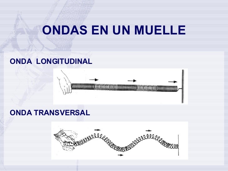 Movimiento Ondulatorio