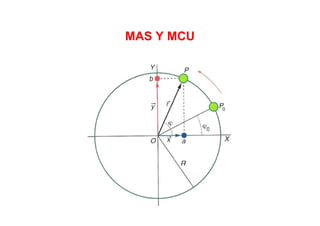 MAS Y MCU
 