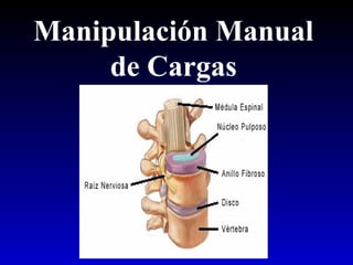 Manipulación Manual
de Cargas
 