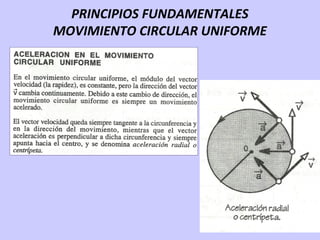 PRINCIPIOS FUNDAMENTALES
MOVIMIENTO CIRCULAR UNIFORME
 