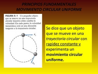 PRINCIPIOS FUNDAMENTALES
MOVIMIENTO CIRCULAR UNIFORME
Se dice que un objeto
que se mueve en una
trayectoria circular con
rapidez constante v
experimenta un
movimiento circular
uniforme.
 