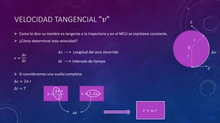 VELOCIDAD TANGENCIAL "𝑣"
 Como lo dice su nombre es tangente a la trayectoria y en el MCU se mantiene constante.
 ¿Cómo determinar esta velocidad?
𝑣 =
∆𝑠
∆𝑡
 Si consideramos una vuelta completa:
∆𝑠 = 2𝜋.r
∆𝑡 = 𝑇
𝑣
𝑣
∆𝑠 Longitud del arco recorrido ∆𝑠
∆t Intervalo de tiempo
𝑣 =
2𝜋. 𝑟
𝑇
𝑣 = 𝑓. 2𝜋. 𝑟
O
r
r
𝜔 𝑣 = 𝜔. 𝑟
 