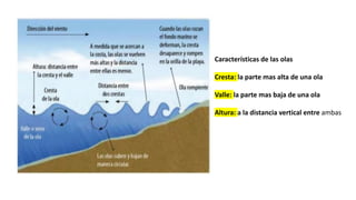Características de las olas
Cresta: la parte mas alta de una ola
Valle: la parte mas baja de una ola
Altura: a la distancia vertical entre ambas
 