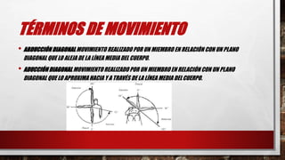 TÉRMINOS DE MOVIMIENTO
• ABDUCCIÓN DIAGONALMOVIMIENTO REALIZADO POR UN MIEMBRO EN RELACIÓN CON UN PLANO
DIAGONAL QUE LO ALEJA DE LA LÍNEA MEDIA DEL CUERPO.
• ADUCCIÓN DIAGONAL MOVIMIENTOREALIZADO POR UN MIEMBRO EN RELACIÓN CON UN PLANO
DIAGONAL QUE LO APROXIMAHACIA Y A TRAVÉS DE LA LÍNEA MEDIA DELCUERPO.
 