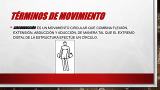 TÉRMINOS DE MOVIMIENTO
• CIRCUNDUCCIÓN ES UN MOVIMIENTO CIRCULAR QUE COMBINA FLEXIÓN,
EXTENSIÓN, ABDUCCIÓN Y ADUCCIÓN, DE MANERA TAL QUE EL EXTREMO
DISTAL DE LA ESTRUCTURA EFECTÚE UN CÍRCULO.
 