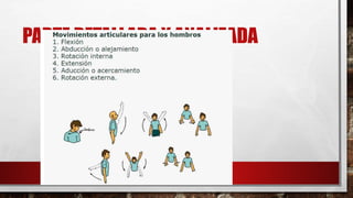 PARTE DETALLADA Y ANALIZADA
 