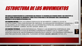 ESTRUCTURA DE LOS MOVIMIENTOS
SON AQUELLAS MANIFESTACIONES DE LA MOTRICIDAD QUE APARECEN Y SE DESARROLLAN DE MANERA INNATA Y QUE CONSTITUYE LA
BASE DE FORMA SUPERIORES DEL MOVIMIENTO. SOBRE ESTAS ESTRUCTURAS SE IRÁ EDIFICANDO TODA LA MOTRICIDAD DEL
INDIVIDUO YA SEA DE MANERA INTENCIONAL O NO.
LOS ESQUEMAS MOTORES, SON LAS FORMAS ESENCIALES DE MOVIMIENTO. SOBRE ELLOS SE VA
CONSTRUYENDO TODA LA MOTRICIDAD DEL INDIVIDUO. SU ADQUISICIÓN PROGRESIVA Y APARECEN Y
SE DESARROLLAN DE FORMA NATURAL EN LAS DIFERENTES ETAPAS DEL DESARROLLO INFANTIL.
EJEMPLOS CAMINAR, CORRER, SALTAR, GATEAR, GIRAR, ETC.
LOS ESQUEMAS POSTURALES, HACEN REFERENCIA AL TRONCO Y LOS SEGMENTOS CORPORALES. SON
POSTURAS ESTÁTICAS YA QUE SE REFIEREN A DIFERENTES FORMAS QUE EL CUERPO PUEDE
ADOPTAR A PARTIR DE UNA DETERMINADA POSICIÓN EN EL ESPACIO. LOS ESQUEMAS POSTURALES
MÁS FRECUENTES SON: DOBLARSE, FLEXIONAR, ESTIRAR, ADUCIR, ABDUCIR, ROTAR, ETC.
 