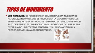 TIPOS DE MOVIMIENTO
• LOS REFLEJOS: SE PUEDE DEFINIR COMO RESPUESTA INMEDIATA DE
NATURALEZA NERVIOSA QUE SE PRODUCE EN LA MAYOR PARTE DE LOS
SERES VIVOS ANTE UN ESTÍMULO DETERMINADO EXTERNO O INTERNO, EL
ACTO DE REFLEJO ES UN PROCESO INVOLUNTARIO QUE OCURRE AL SER
ESTIMULANDO UN RECEPTOR SENSORIAL Y SU BASE ANATÓMICA LA
PROPORCIONA EL LLAMADO ARCO REFLEJO.
 