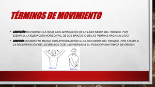 TÉRMINOS DE MOVIMIENTO
• ABDUCCIÓN: MOVIMIENTO LATERAL CON SEPARACIÓN DE LA LÍNEA MEDIA DEL TRONCO. POR
EJEMPLO, LA ELEVACIÓN HORIZONTAL DE LOS BRAZOS O DE LAS PIERNAS HACIA UN LADO.
• ADUCCIÓN: MOVIMIENTO MEDIAL CON APROXIMACIÓN A LA LÍNEA MEDIA DEL TRONCO. POR EJEMPLO,
LA RECUPERACIÓN DE LOS BRAZOS O DE LAS PIERNAS A SU POSICIÓN ANATÓMICA DE ORIGEN.
 