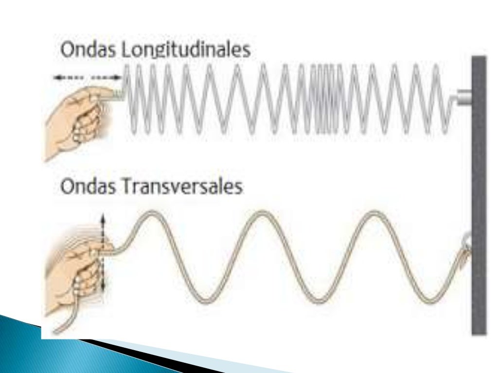 Movimiento ondulatorio