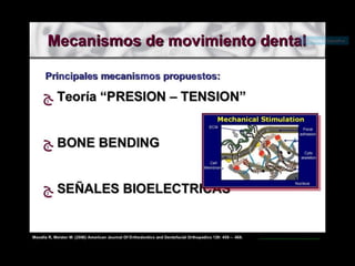Movimiento ortodoncico