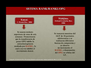 Movimiento ortodoncico