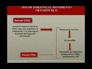 Movimiento ortodoncico