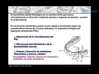 Movimiento ortodoncico