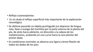 • Reflejo cutaneoplantar.
• Es sin duda el reflejo superficial más importante de la exploración
neurológica.
• Se obtiene pasando un objeto puntiagudo (un depresor de lengua
roto, llave o mango del martillo) por la parte externa de la planta del
pie, de atrás hacia adelante, en dirección a la cabeza de los
metatarsianos, acabando en una curva hacia la cara plantar del
primer dedo.
• En condiciones normales se observa una ligera y breve flexión de
todos los dedos de los pies.
 