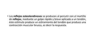 • Los reflejos osteotendinosos se producen al percutir con el martillo
de reflejos, mediante un golpe rápido y breve aplicado a un tendón,
éste estímulo produce un estiramiento del tendón que produce una
contracción muscular brusca, es decir la respuesta.
 