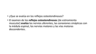 • ¿Que se evalúa en los reflejos osteotendinosos?
• El examen de los reflejos osteotendinosos (de estiramiento
muscular) evalúa los nervios aferentes, las conexiones sinápticas con
la médula espinal, los nervios motores y las vías motoras
descendentes.
 