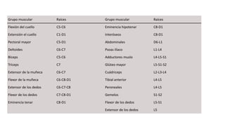 Grupo muscular Raíces Grupo muscular Raíces
Flexión del cuello C5-C6 Eminencia hipotenar C8-D1
Extensión el cuello C1-D1 Interóseos C8-D1
Pectoral mayor C5-D1 Abdominales D6-L1
Deltoides C6-C7 Psoas ilíaco L1-L4
Bíceps C5-C6 Adductores muslo L4-L5-S1
Tríceps C7 Glúteo mayor L5-S1-S2
Extensor de la muñeca C6-C7 Cuádriceps L2-L3-L4
Flexor de la muñeca C6-C8-D1 Tibial anterior L4-L5
Extensor de los dedos C6-C7-C8 Peroneales L4-L5
Flexor de los dedos C7-C8-D1 Gemelos S1-S2
Eminencia tenar C8-D1 Flexor de los dedos L5-S1
Extensor de los dedos L5
 