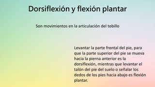 Dorsiflexión y flexión plantar
Son movimientos en la articulación del tobillo
Levantar la parte frontal del pie, para
que la parte superior del pie se mueva
hacia la pierna anterior es la
dorsiflexión, mientras que levantar el
talón del pie del suelo o señalar los
dedos de los pies hacia abajo es flexión
plantar.
 