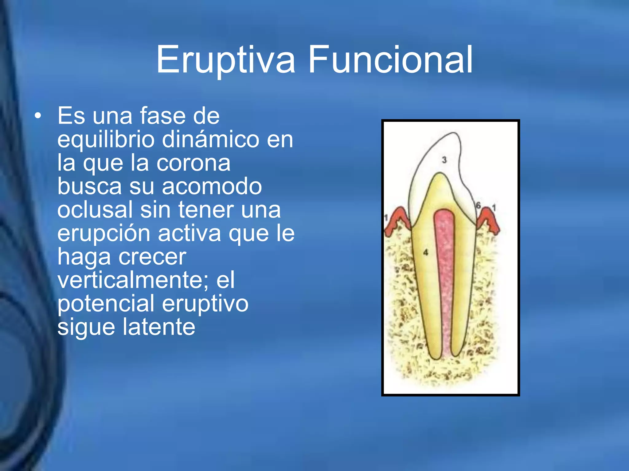 Movimientos Dentarios