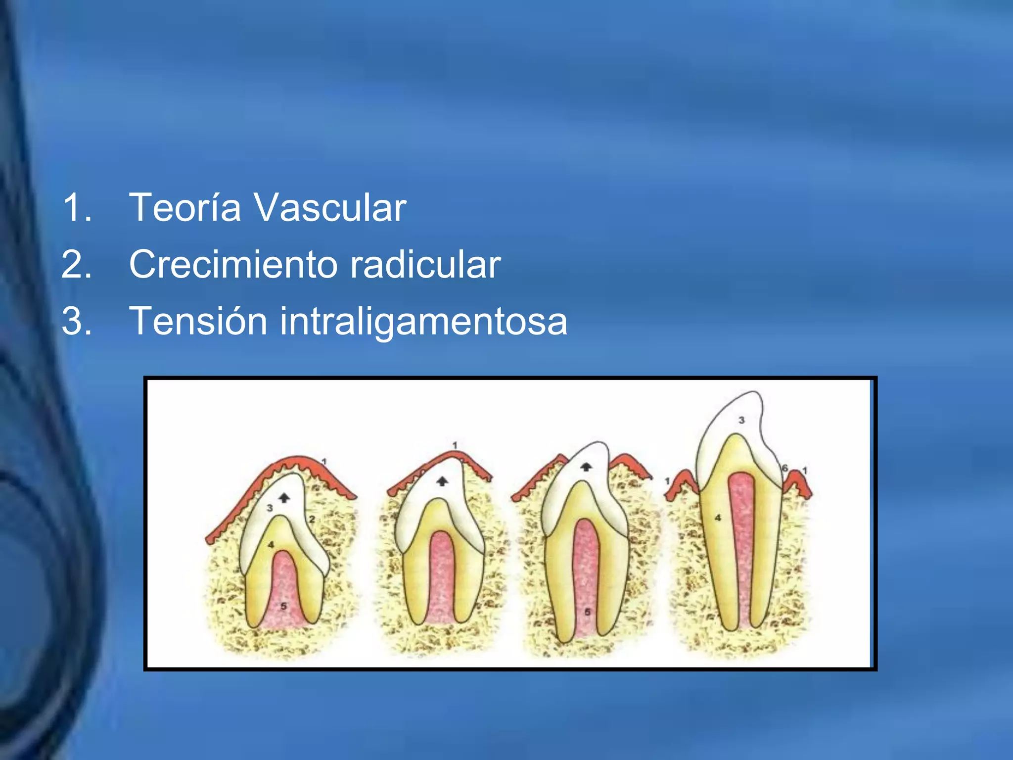 Movimientos Dentarios
