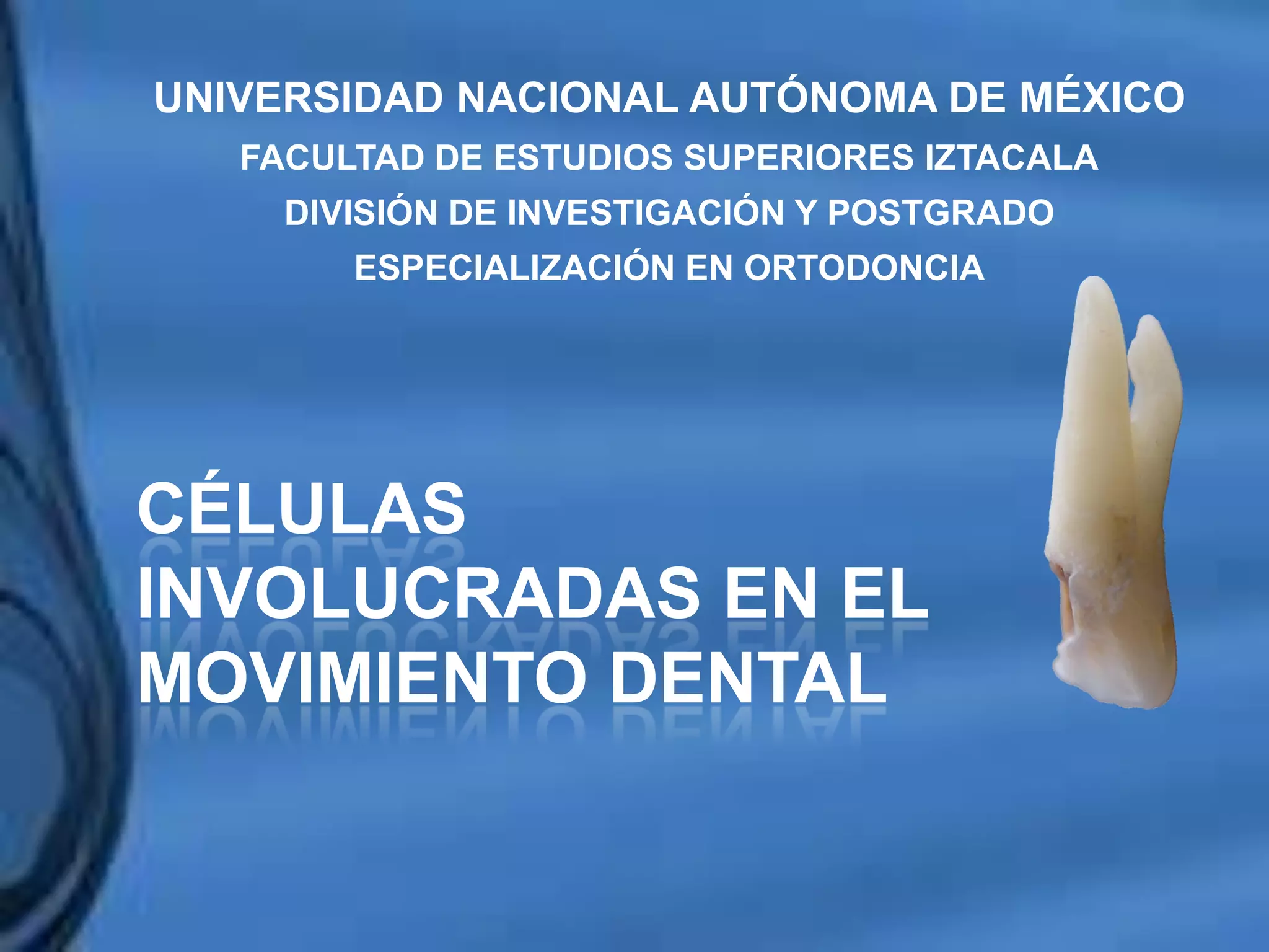 Movimientos Dentarios