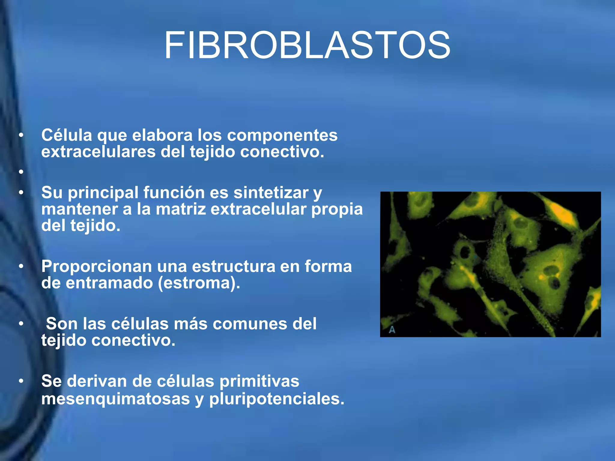 Movimientos Dentarios