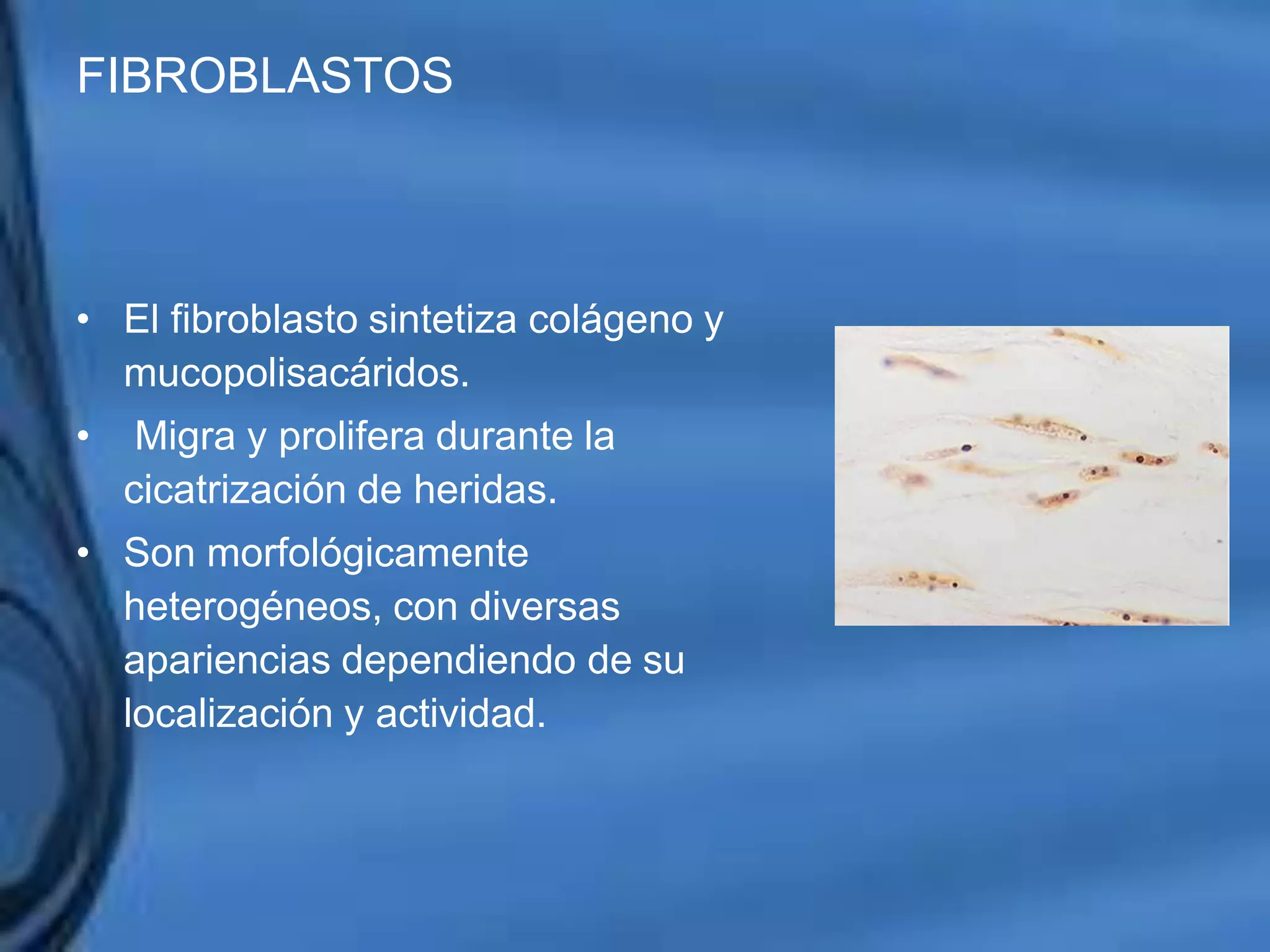 Movimientos Dentarios