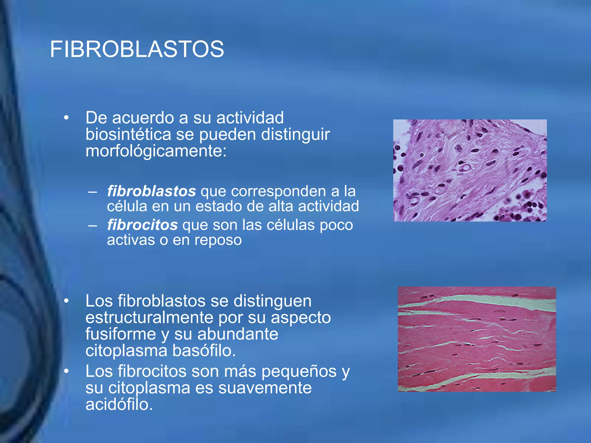 Movimientos Dentarios