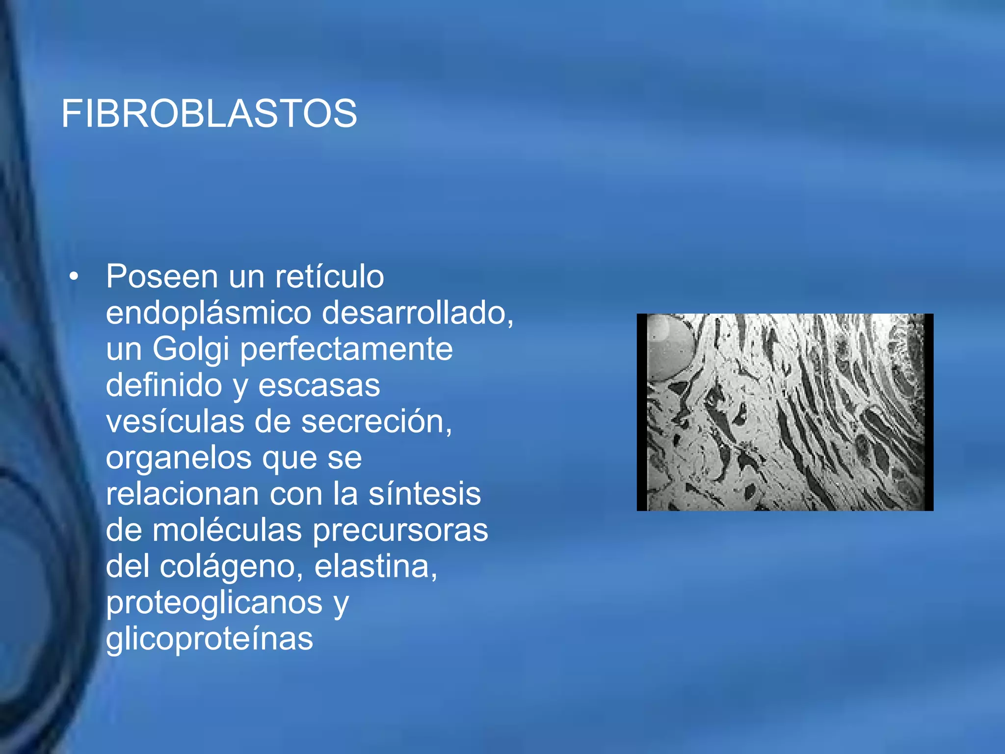 Movimientos Dentarios