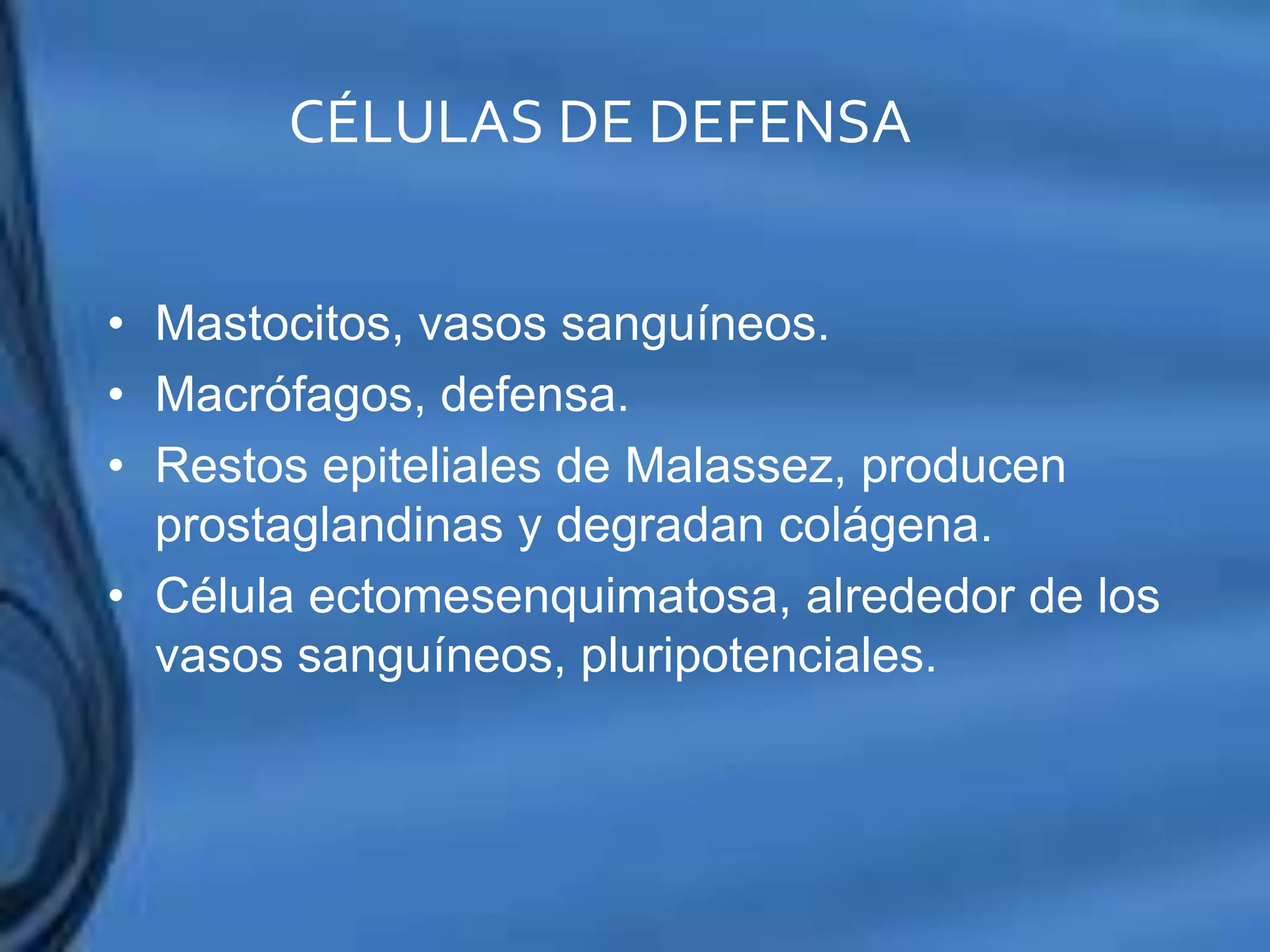 Movimientos Dentarios