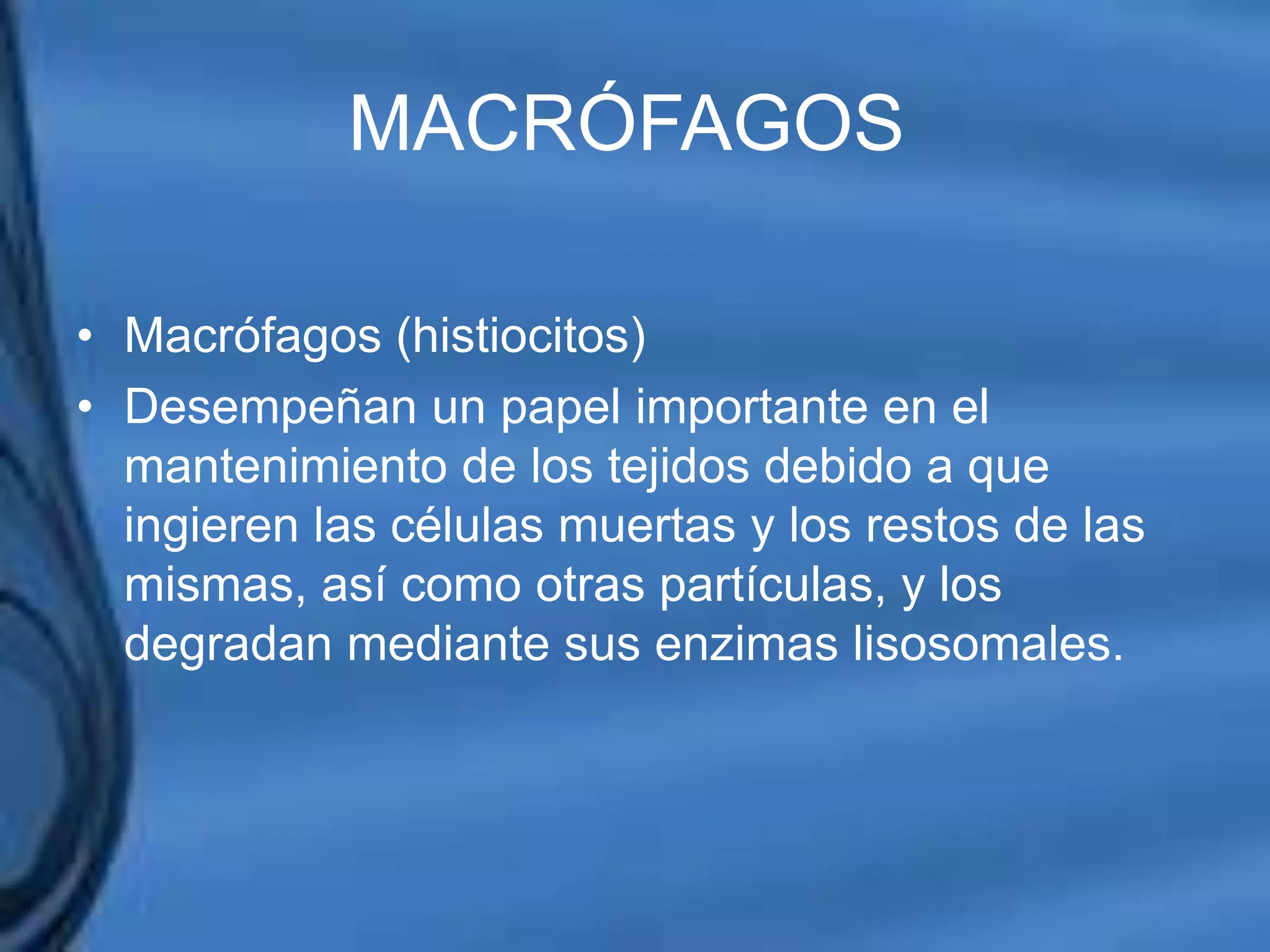 Movimientos Dentarios