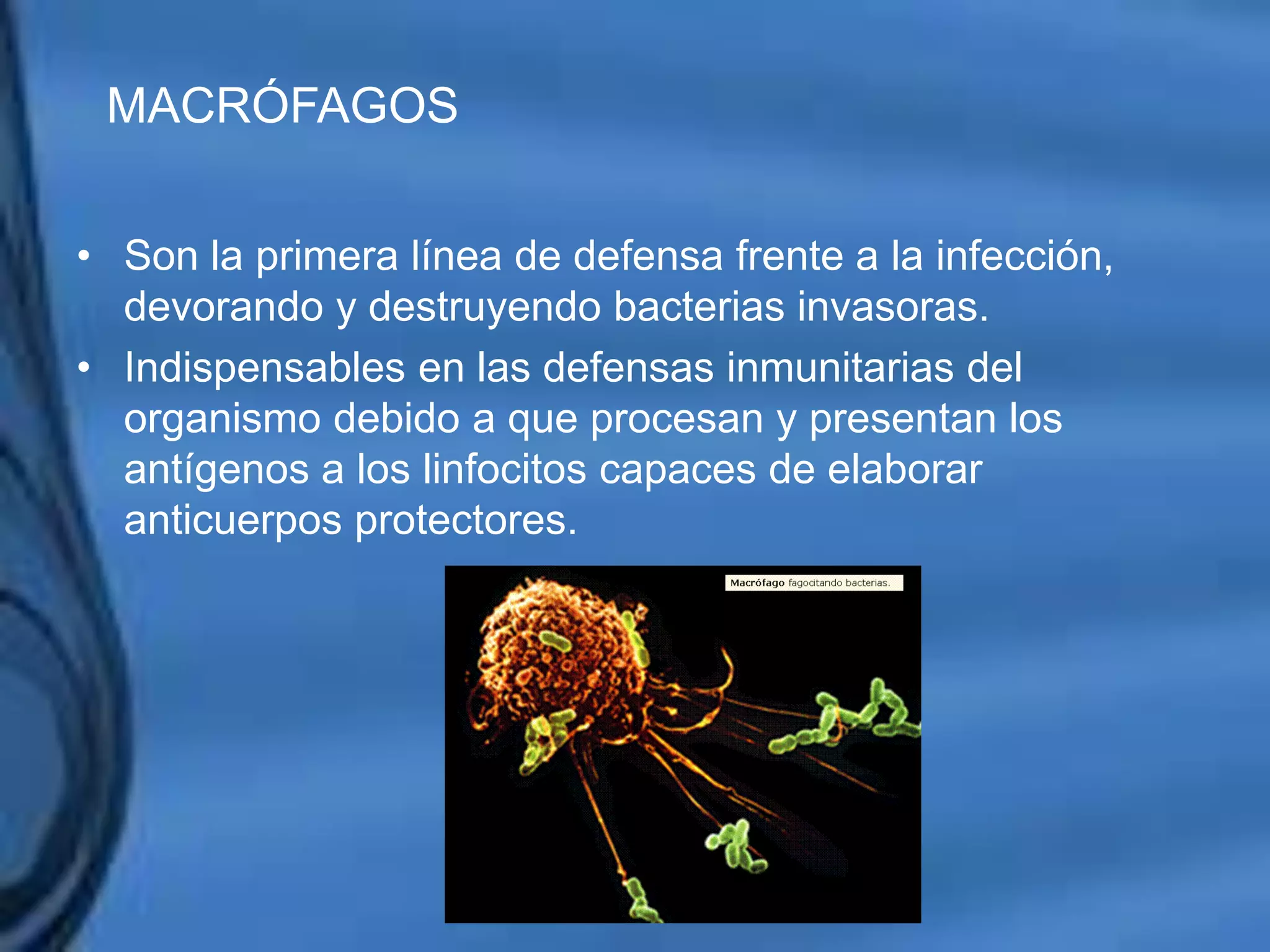 Movimientos Dentarios