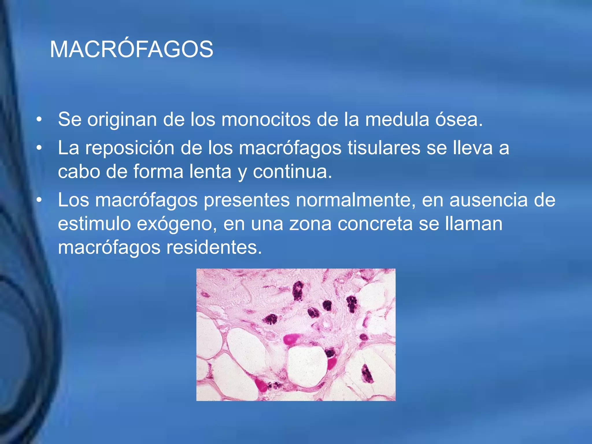 Movimientos Dentarios