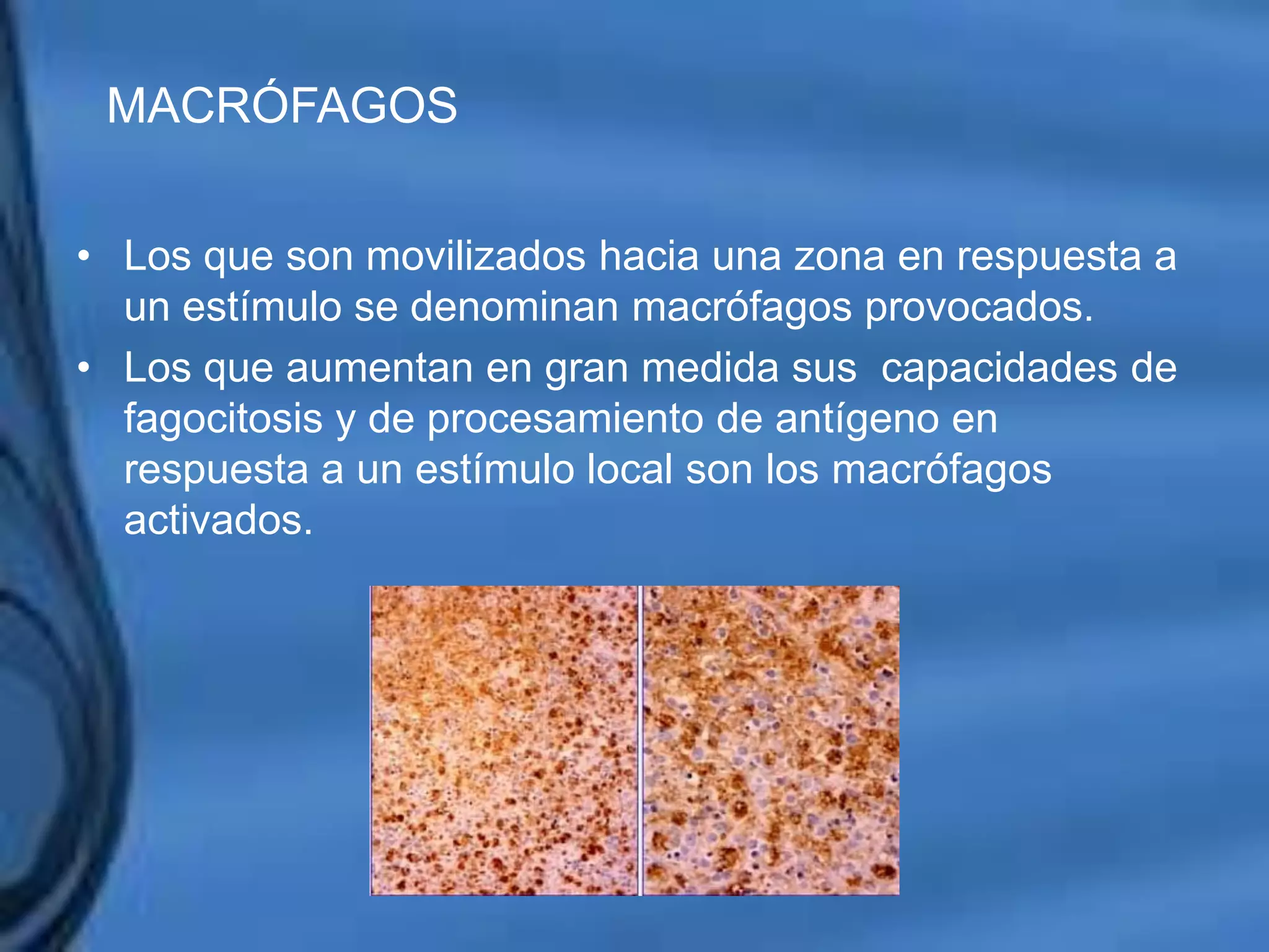 Movimientos Dentarios