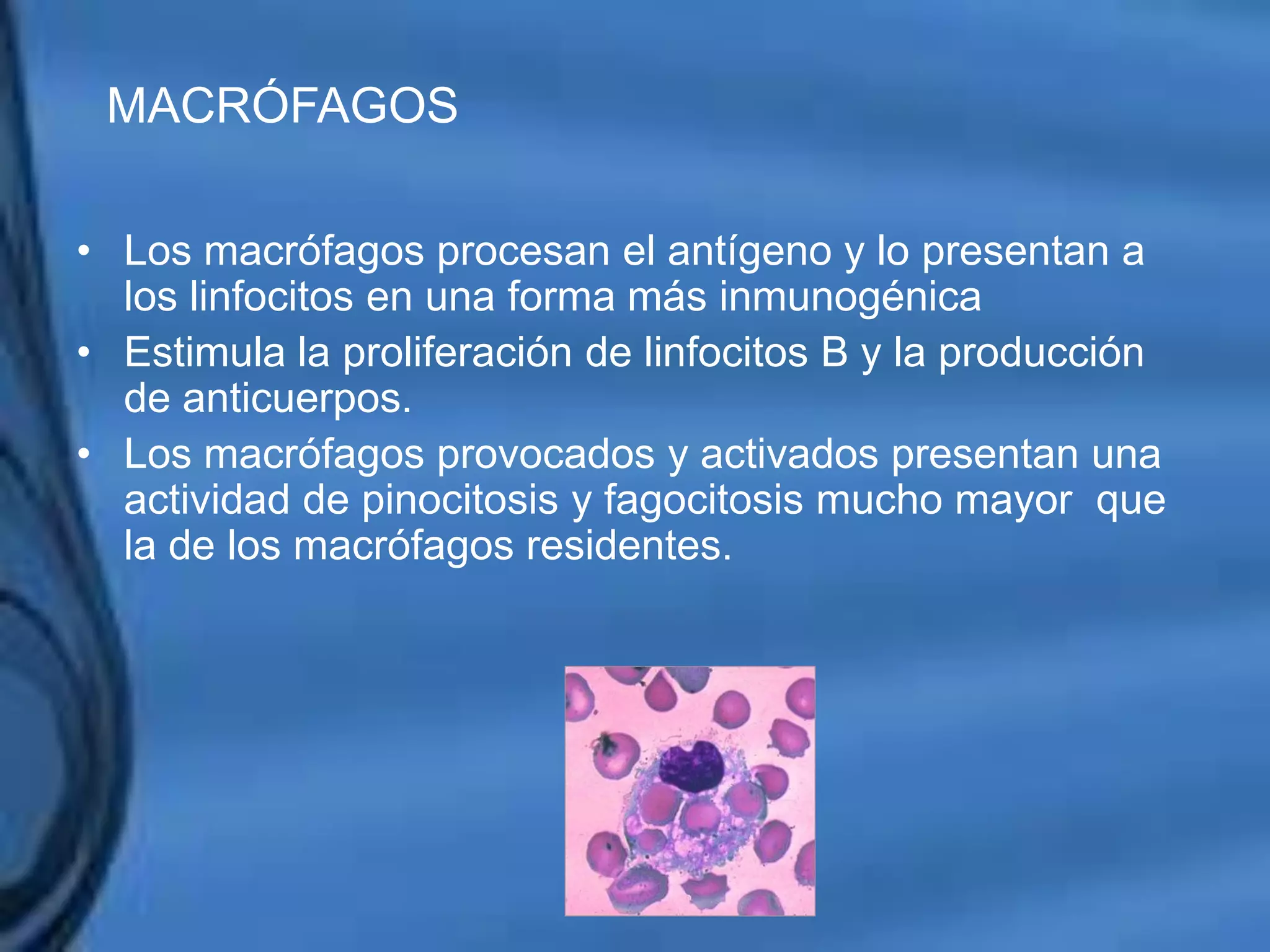 Movimientos Dentarios