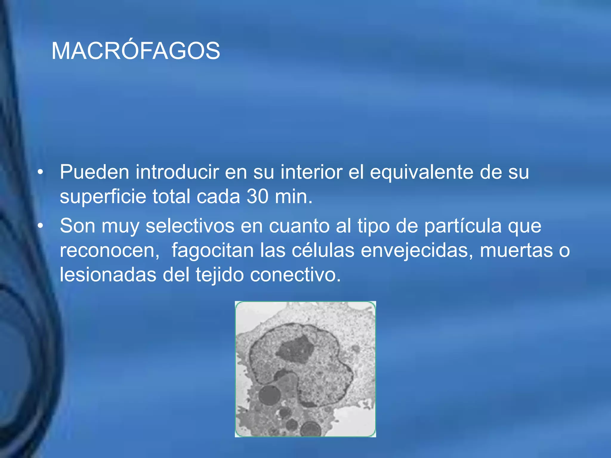 Movimientos Dentarios